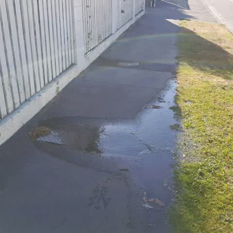 Water Supply — a report photo