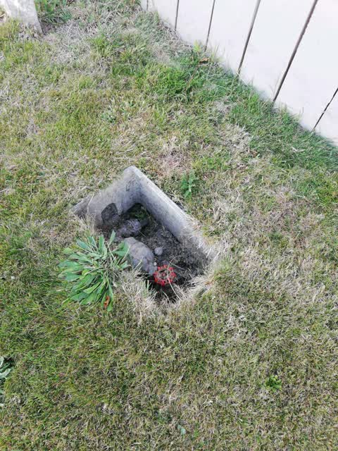 Water Supply, a report photo