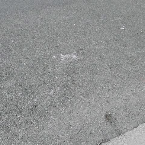 Roading/Streets, a report photo