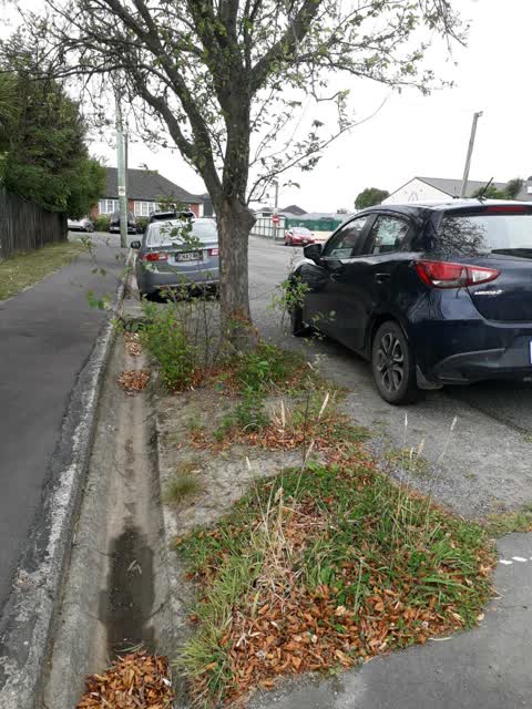 Roading/Streets, a report photo