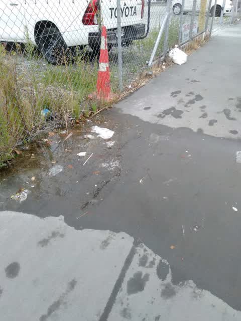 Roading/Streets, a report photo