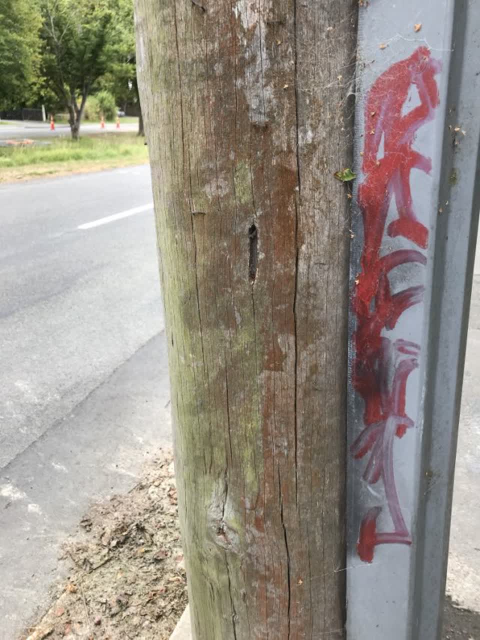 The photograph attached to this graffiti report