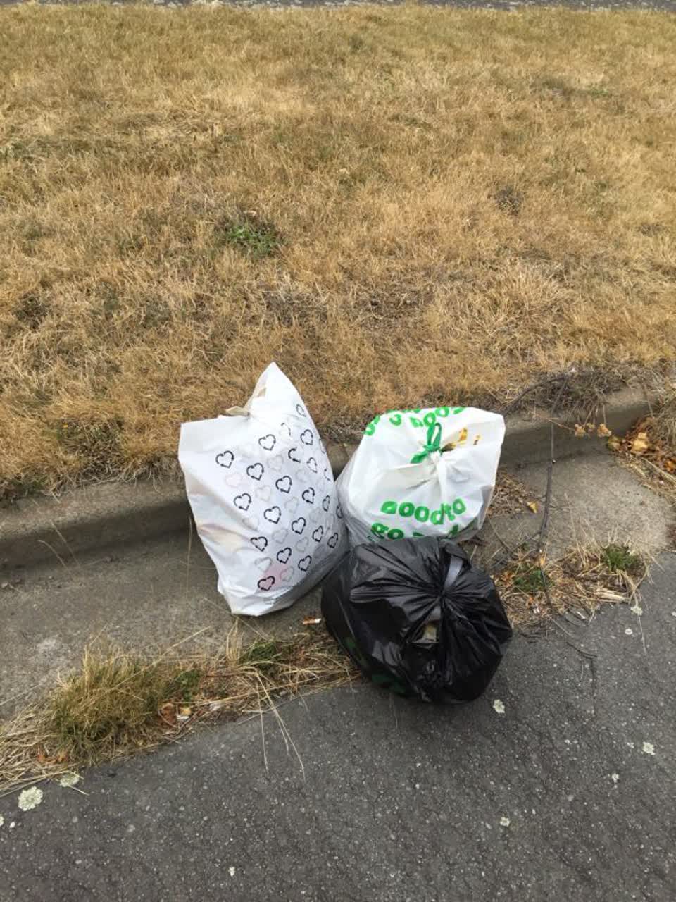 The photograph attached to this rubbish/recycling report