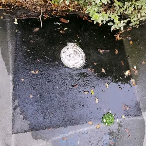 Flooding, a report photo