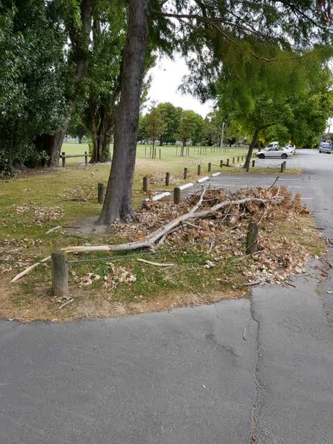 Parks — a report photo