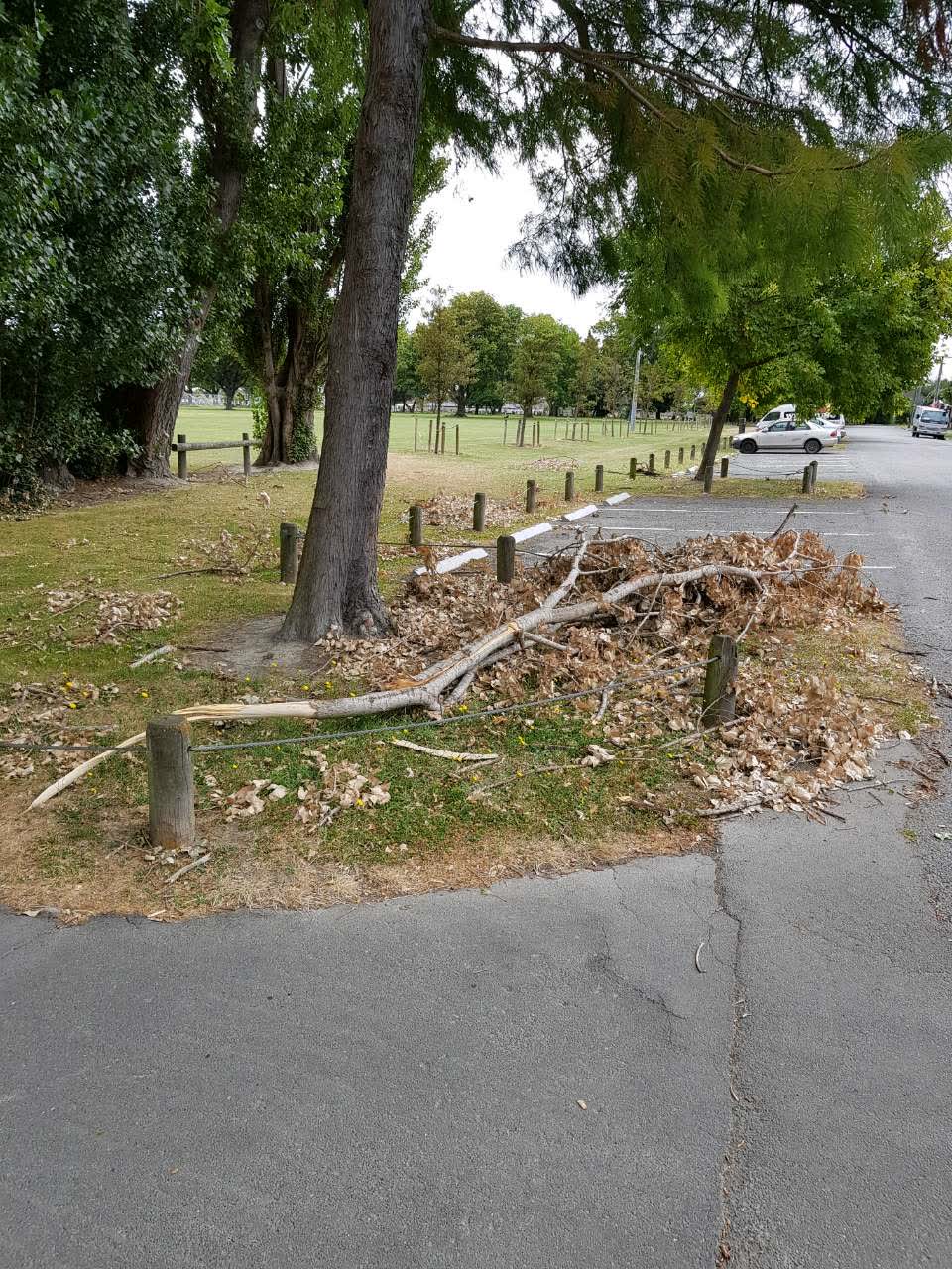 The photograph attached to this parks report