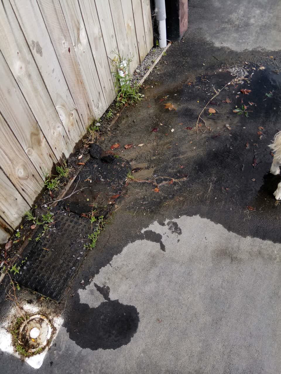 The photograph attached to this water supply report