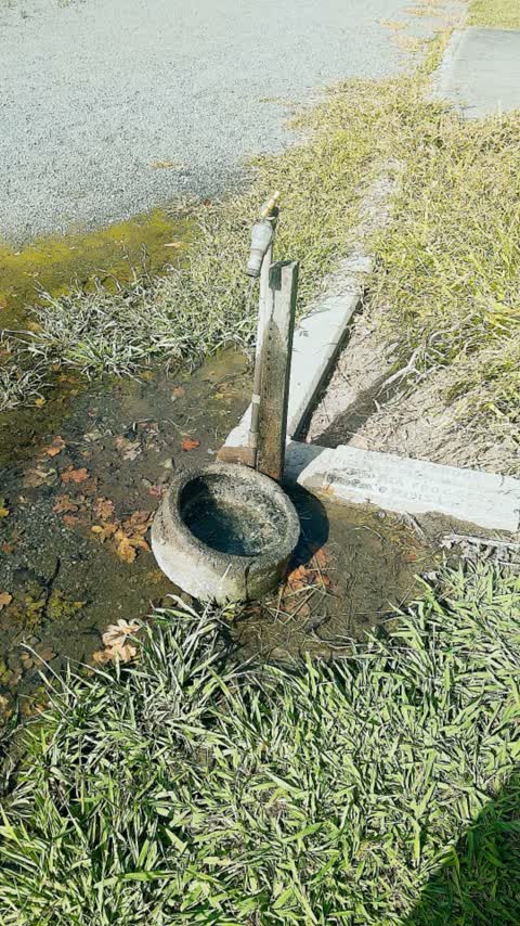 Water Supply, a report photo