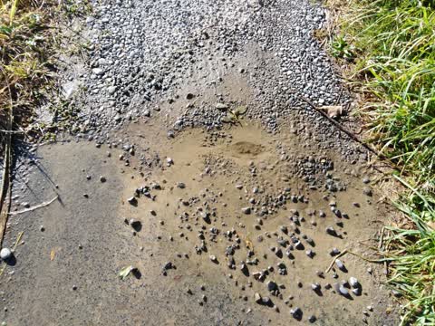 Water Supply, a report photo