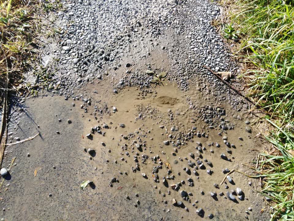 The photograph attached to this water supply report