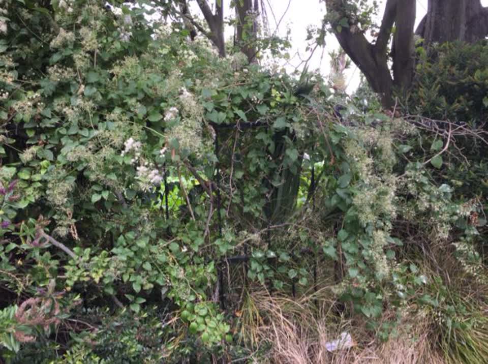 The photograph attached to this parks report