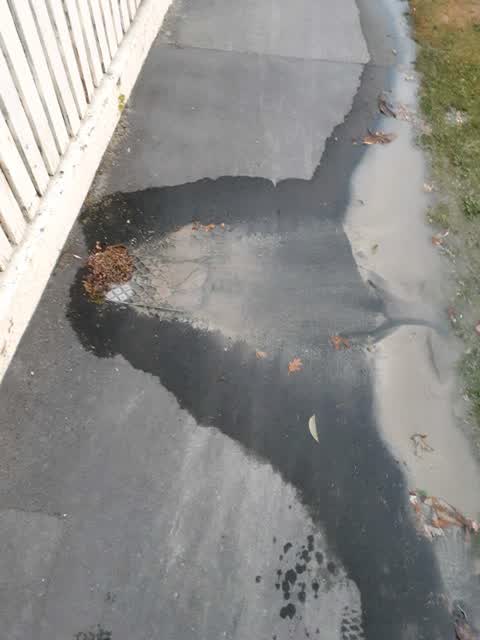 Water Supply, a report photo