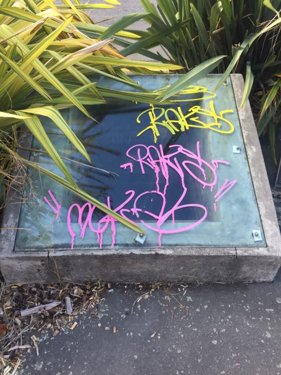 The photograph attached to this graffiti report