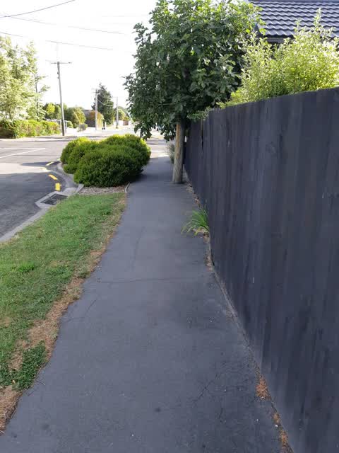 Roading/Streets, a report photo