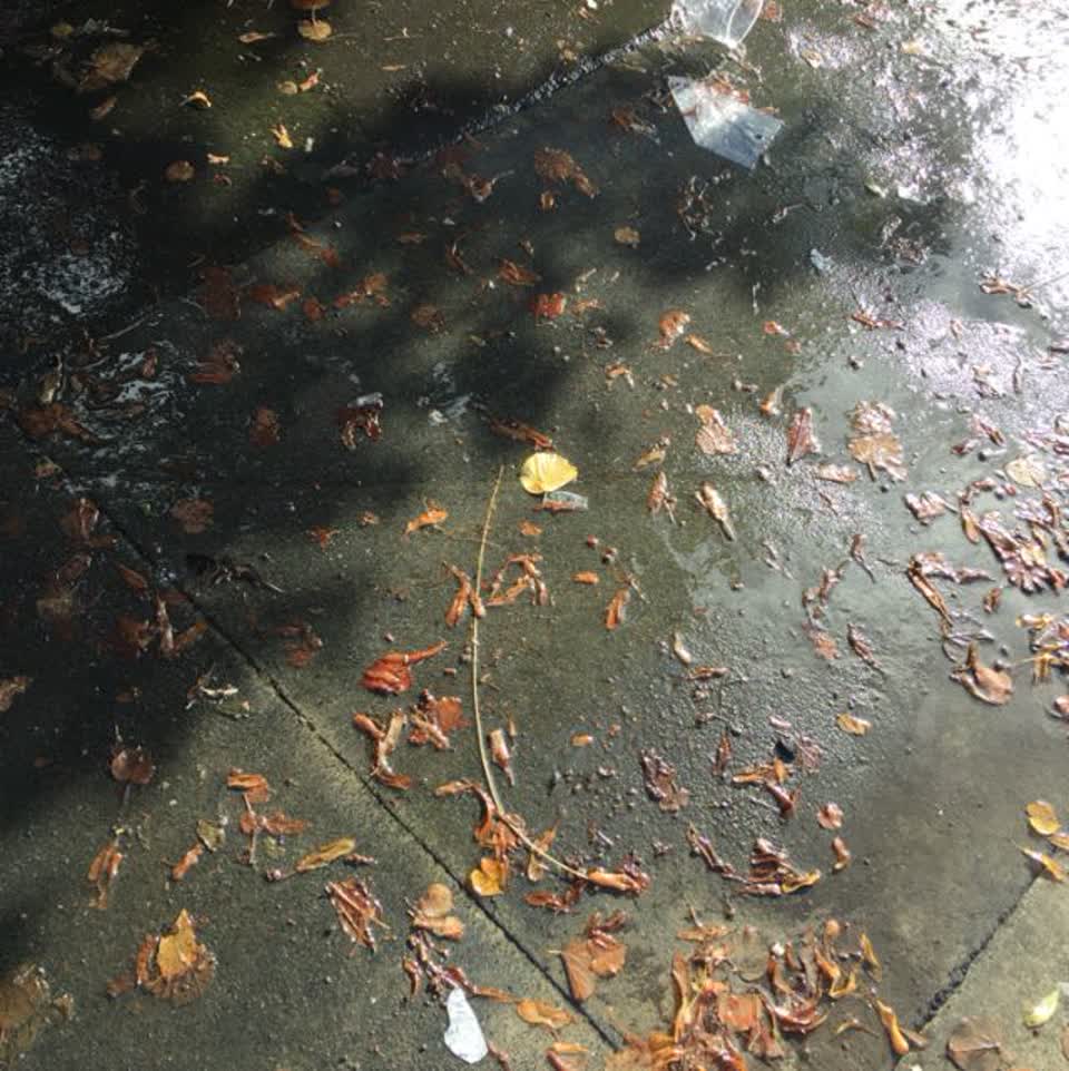 The photograph attached to this water supply report