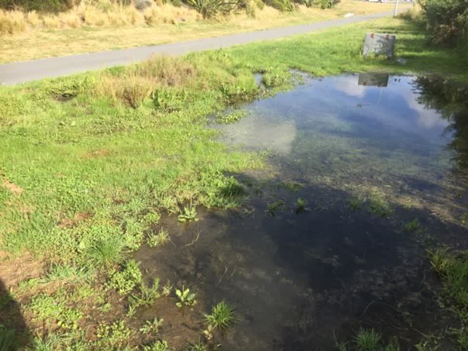 The photograph attached to this water supply report