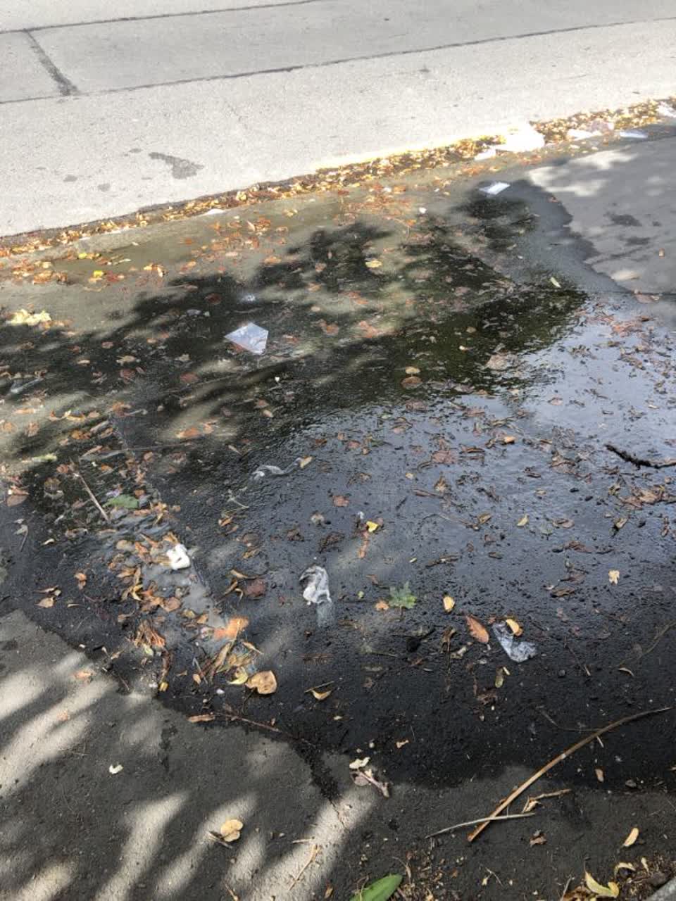 The photograph attached to this water supply report