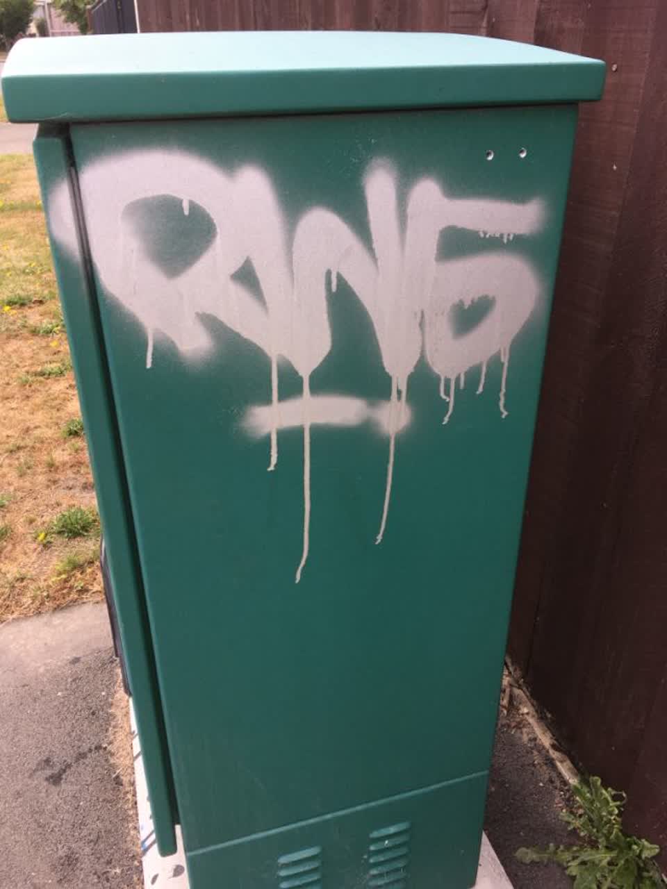 The photograph attached to this graffiti report