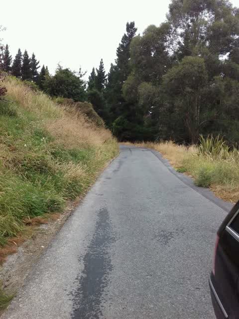 Roading/Streets, a report photo