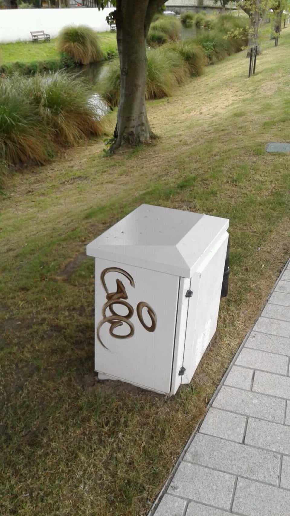 The photograph attached to this graffiti report