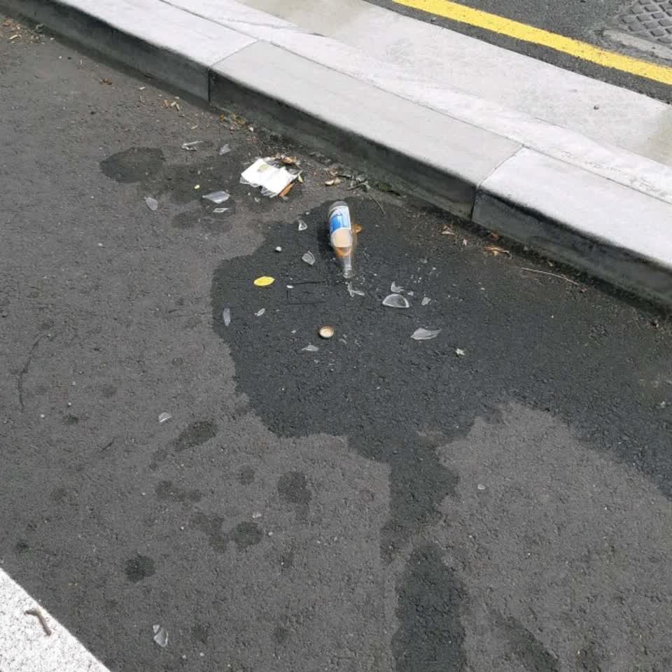 The photograph attached to this roading/streets report