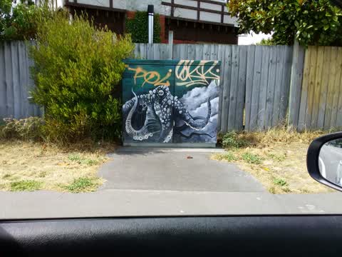 Graffiti, a report photo