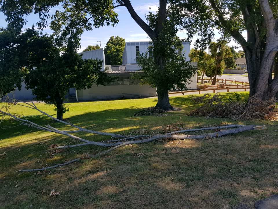 The photograph attached to this parks report