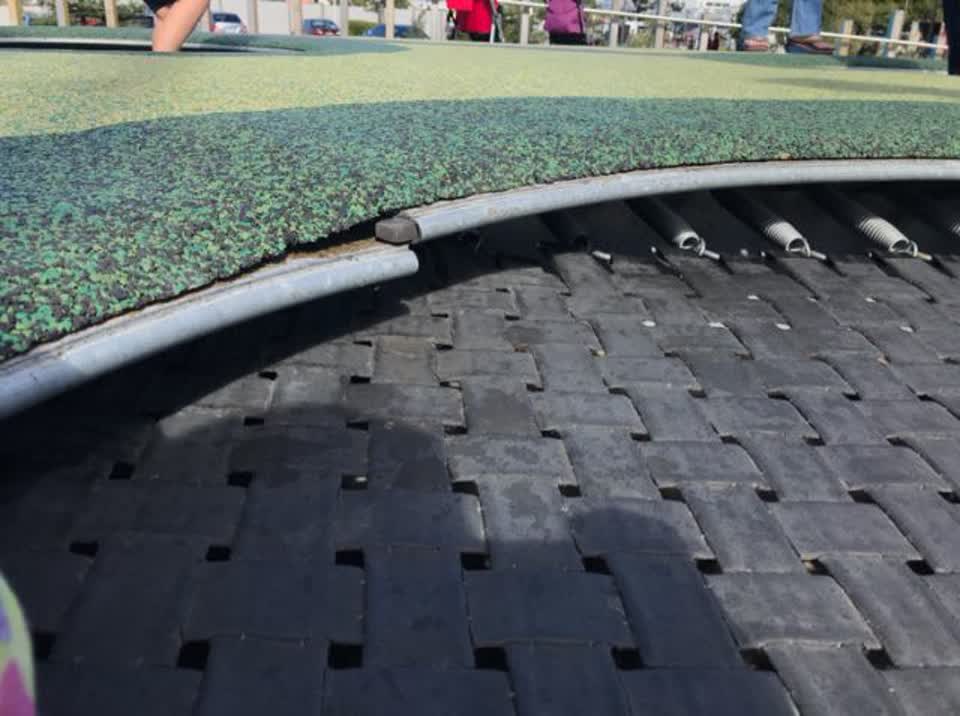 The photograph attached to this parks report