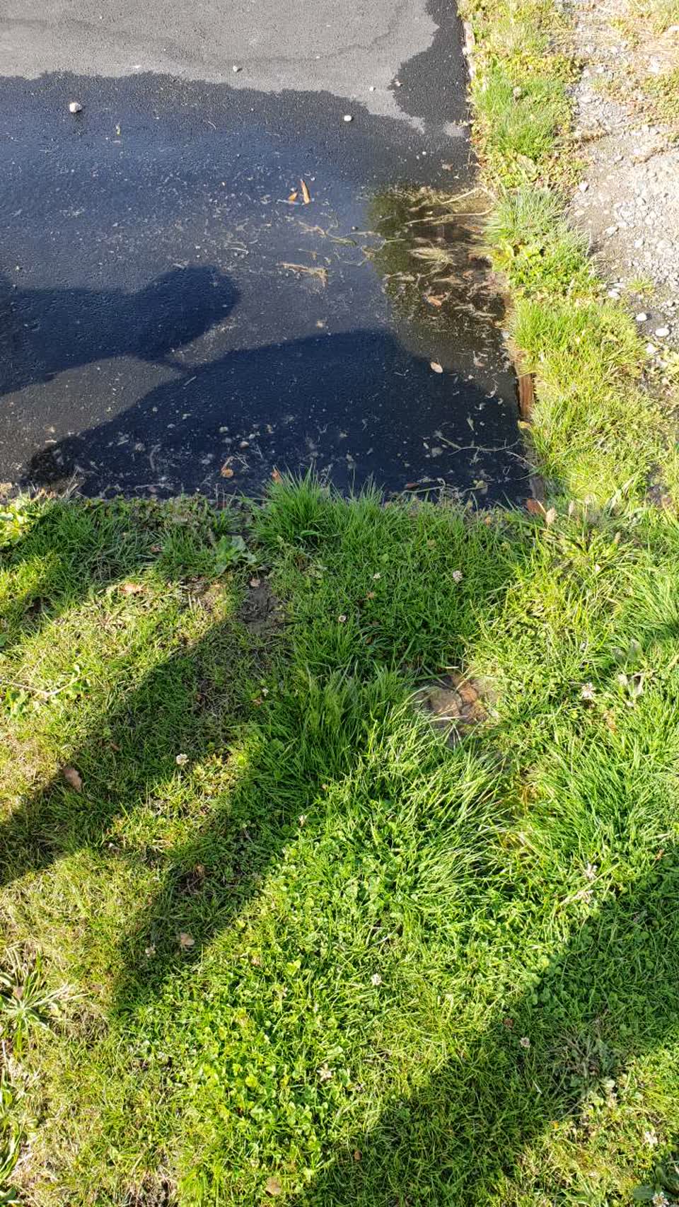 The photograph attached to this water supply report