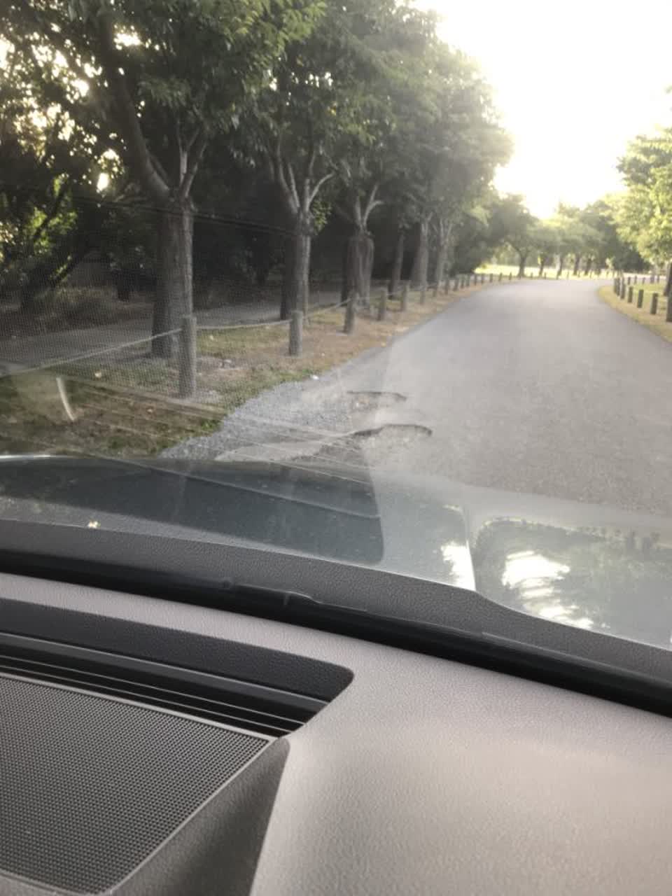 The photograph attached to this parks report