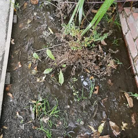 Water Supply, a report photo