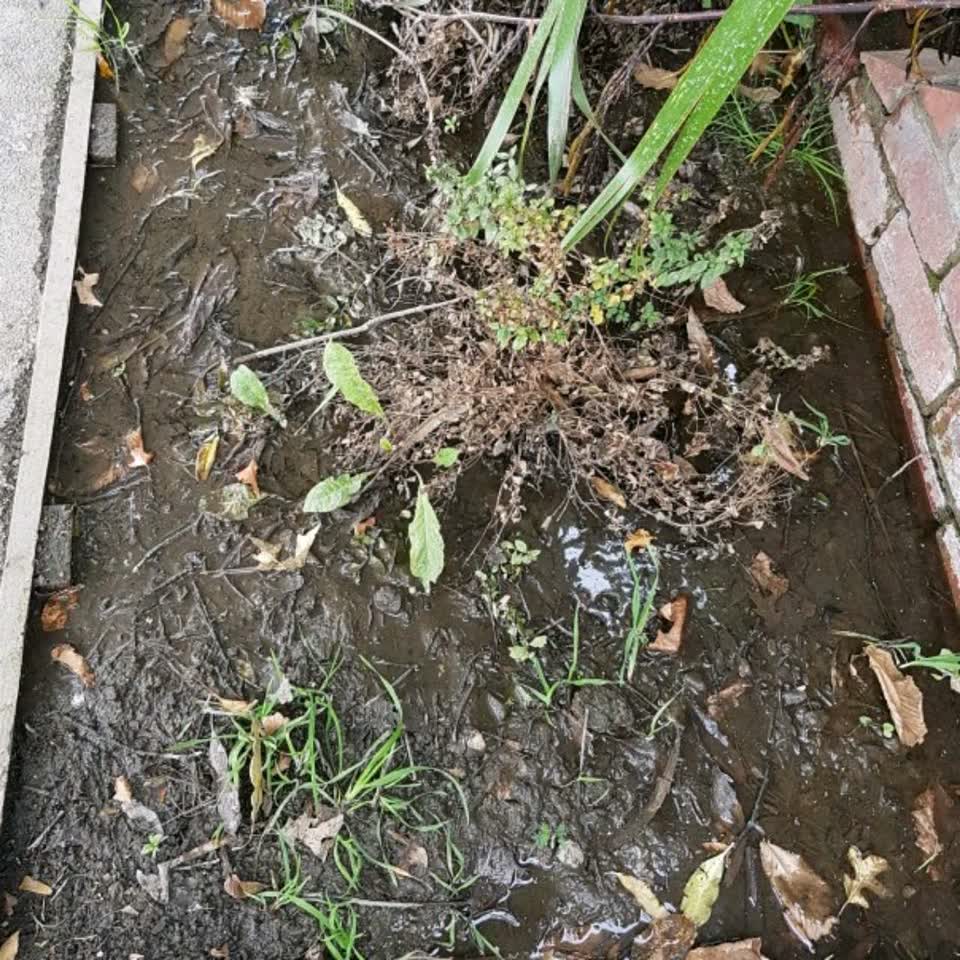 The photograph attached to this water supply report