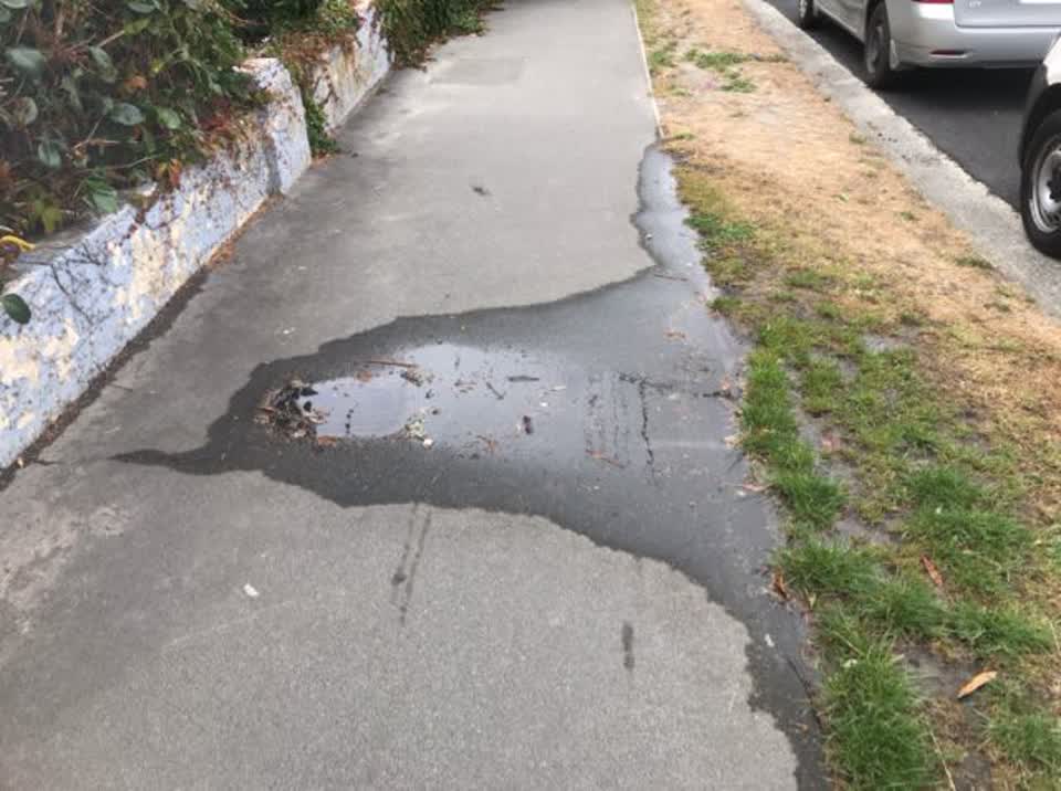The photograph attached to this water supply report