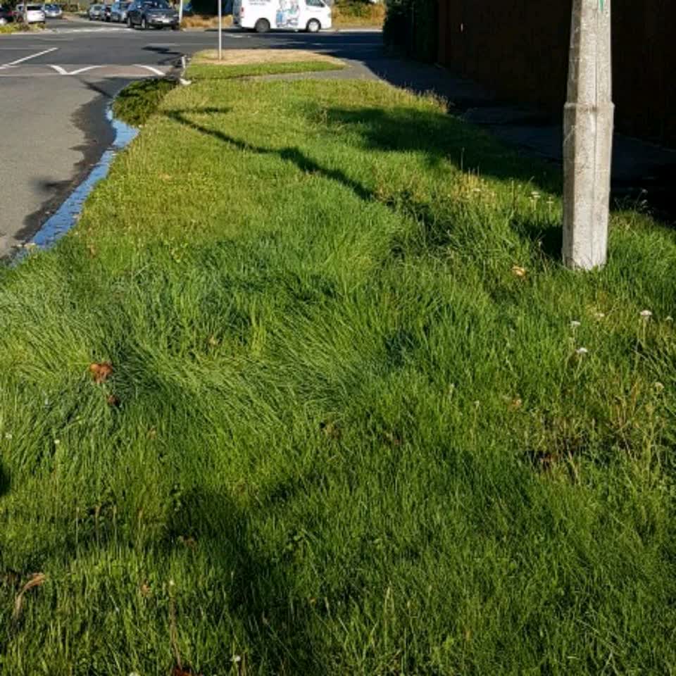 The photograph attached to this water supply report