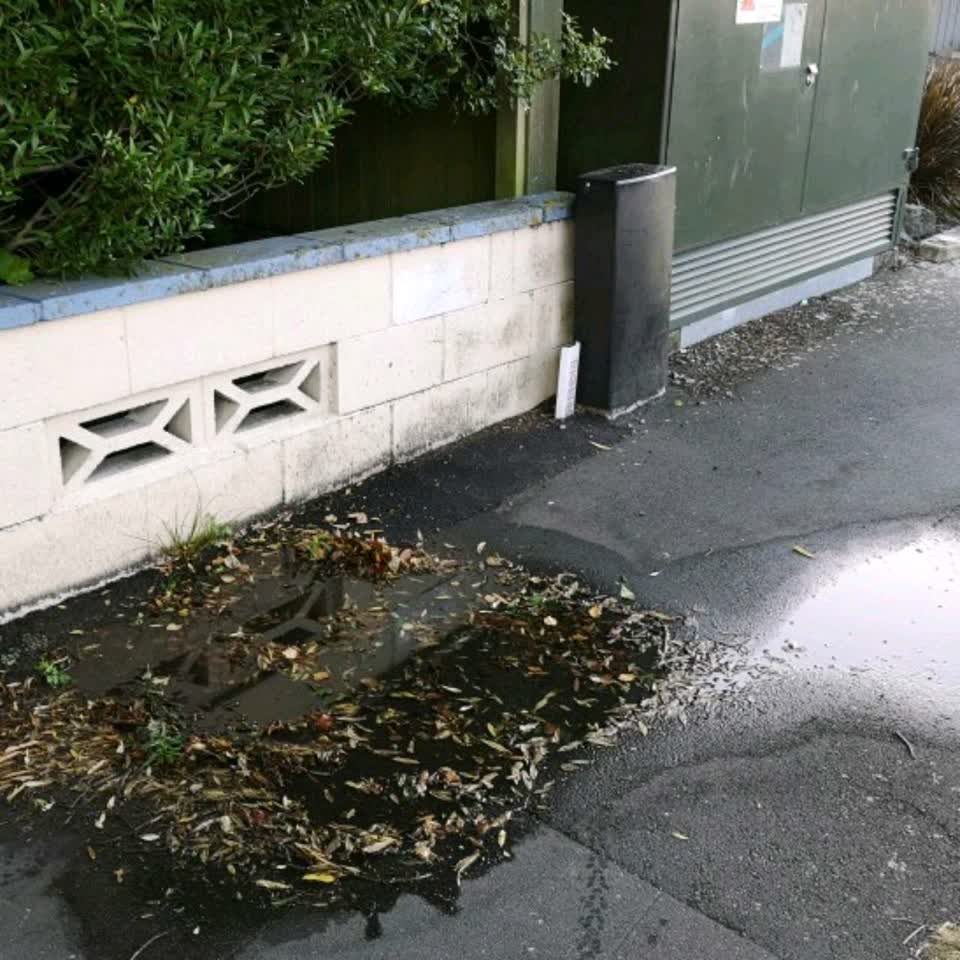 The photograph attached to this water supply report