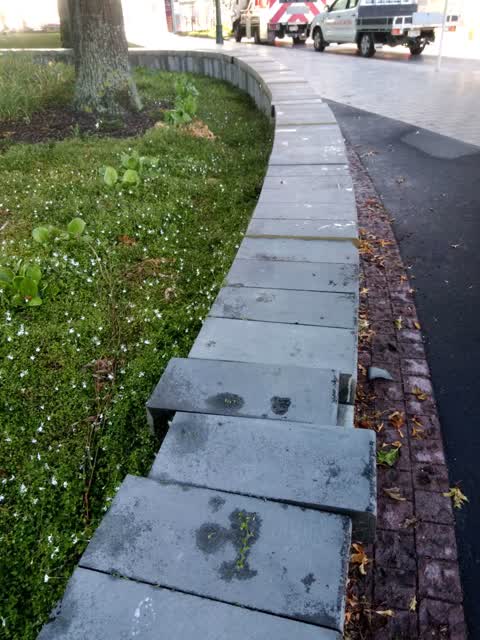Parks, a report photo