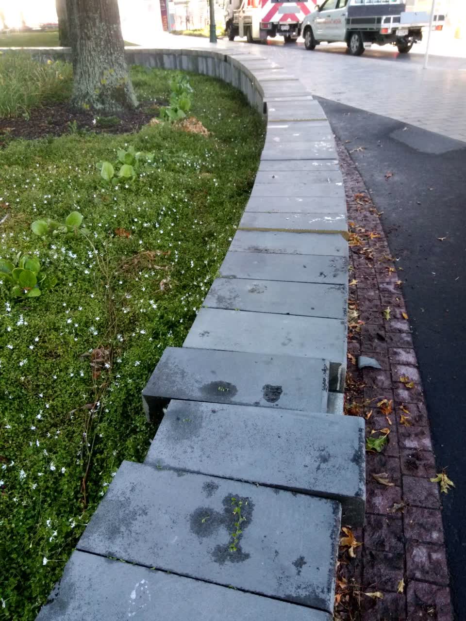 The photograph attached to this parks report