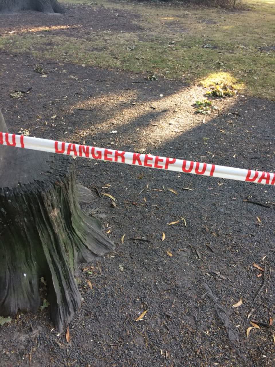 The photograph attached to this parks report