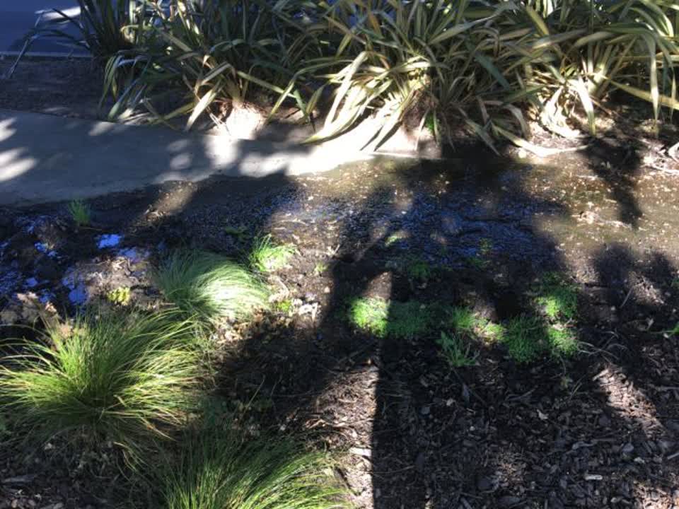 The photograph attached to this water supply report