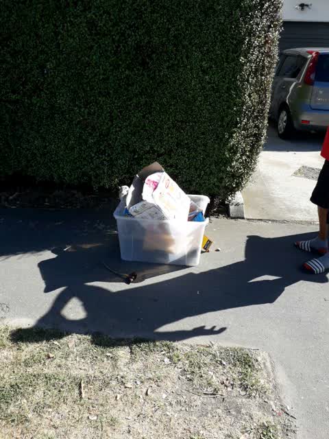 Rubbish/Recycling, a report photo