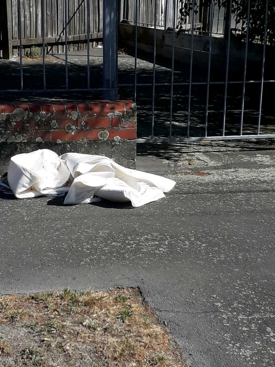 The photograph attached to this rubbish/recycling report