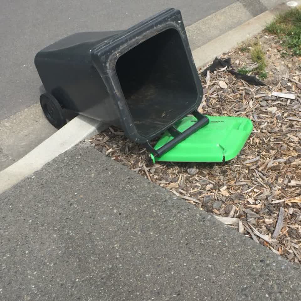 The photograph attached to this rubbish/recycling report