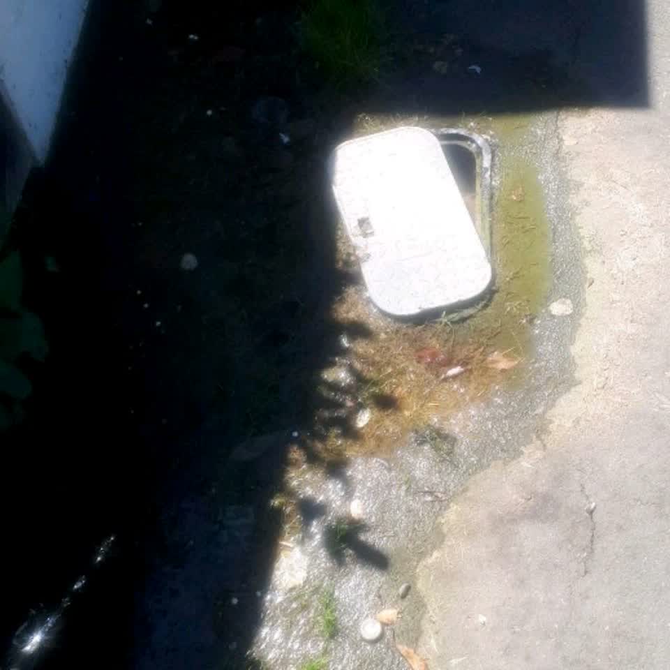 The photograph attached to this water supply report