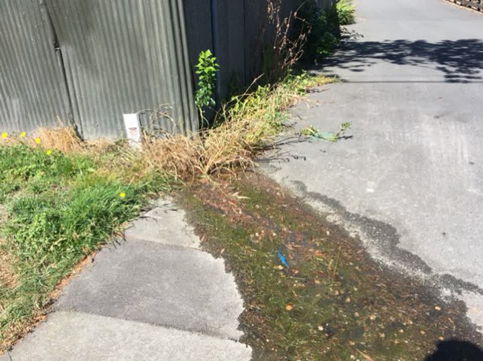 The photograph attached to this water supply report