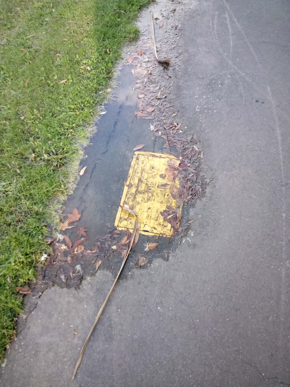 The photograph attached to this flooding report
