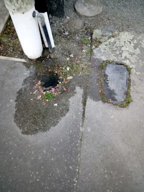 Water Supply, a report photo