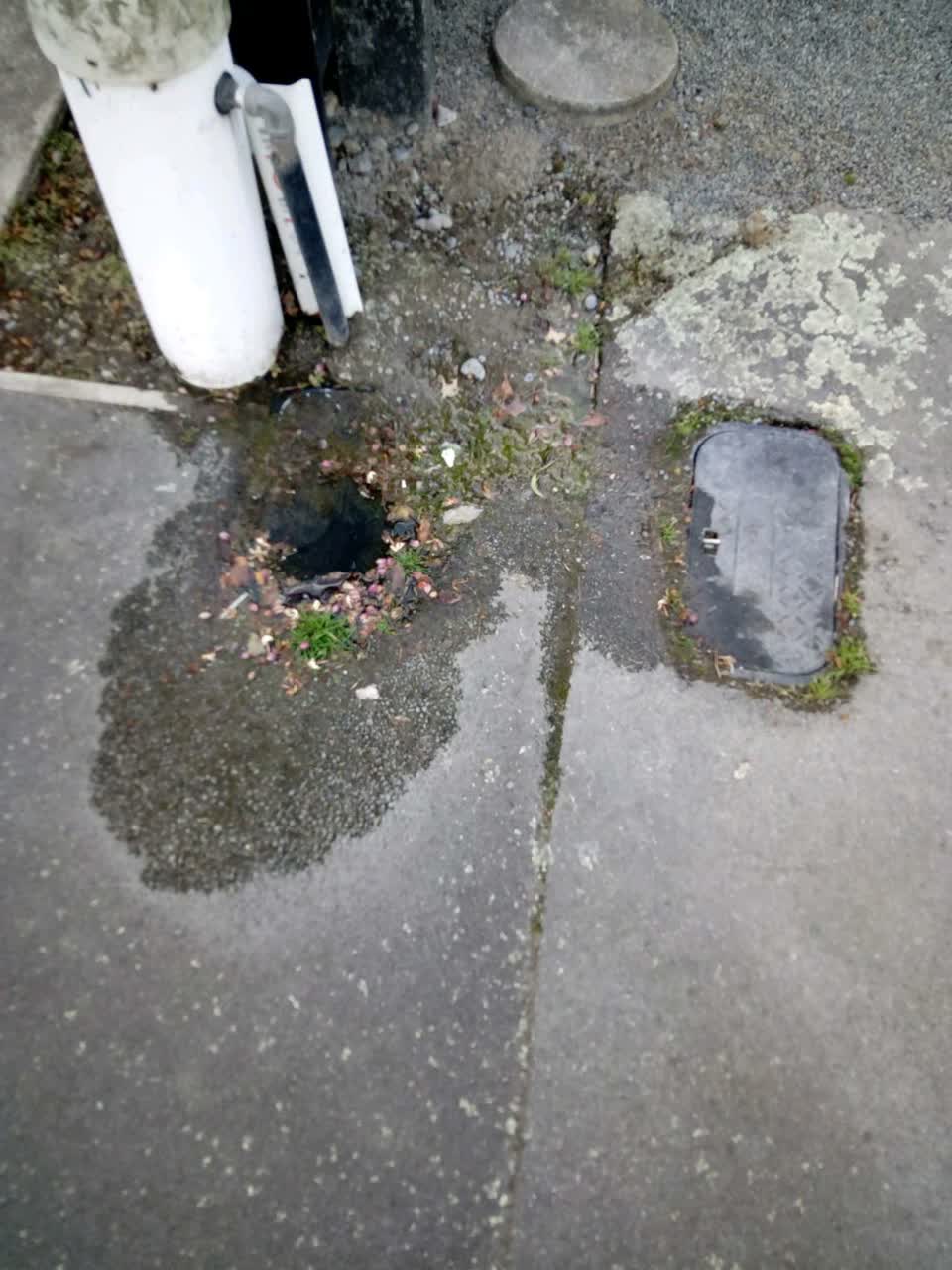 The photograph attached to this water supply report