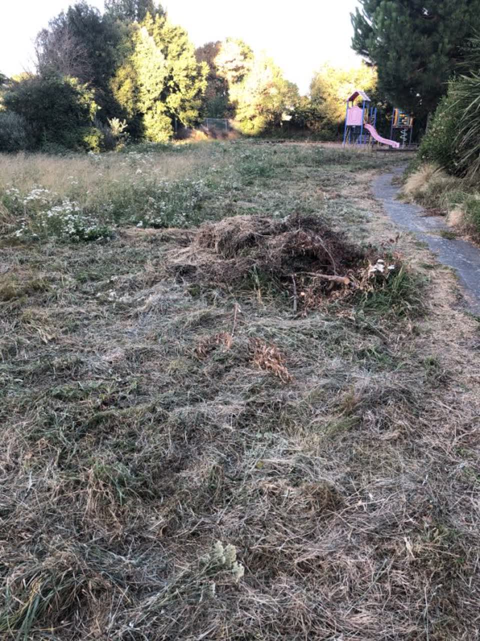 The photograph attached to this parks report