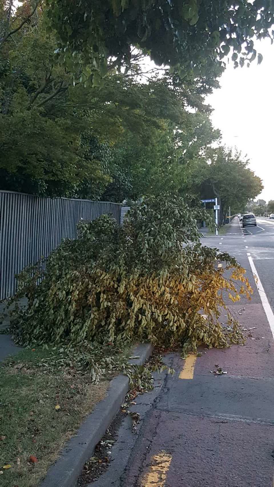 The photograph attached to this roading/streets report