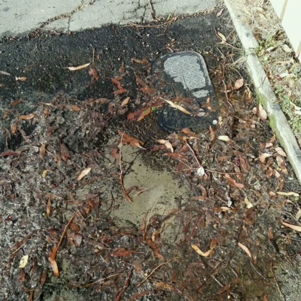 The photograph attached to this flooding report